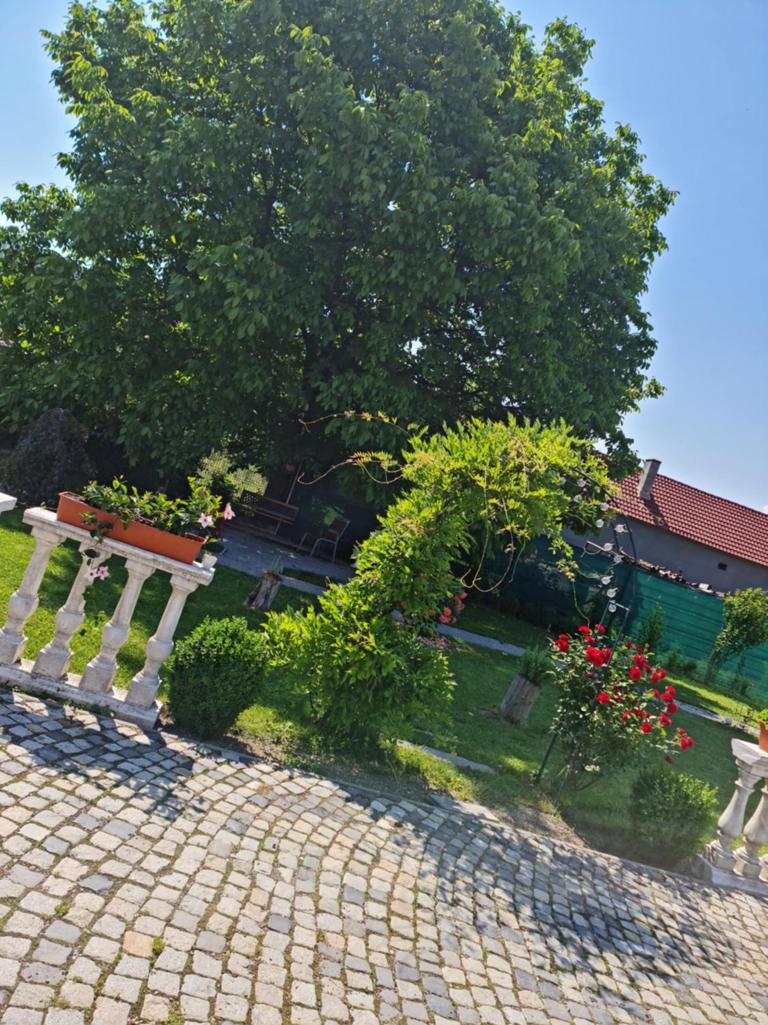 Pensiunea Baroc Dobirlau Exterior photo